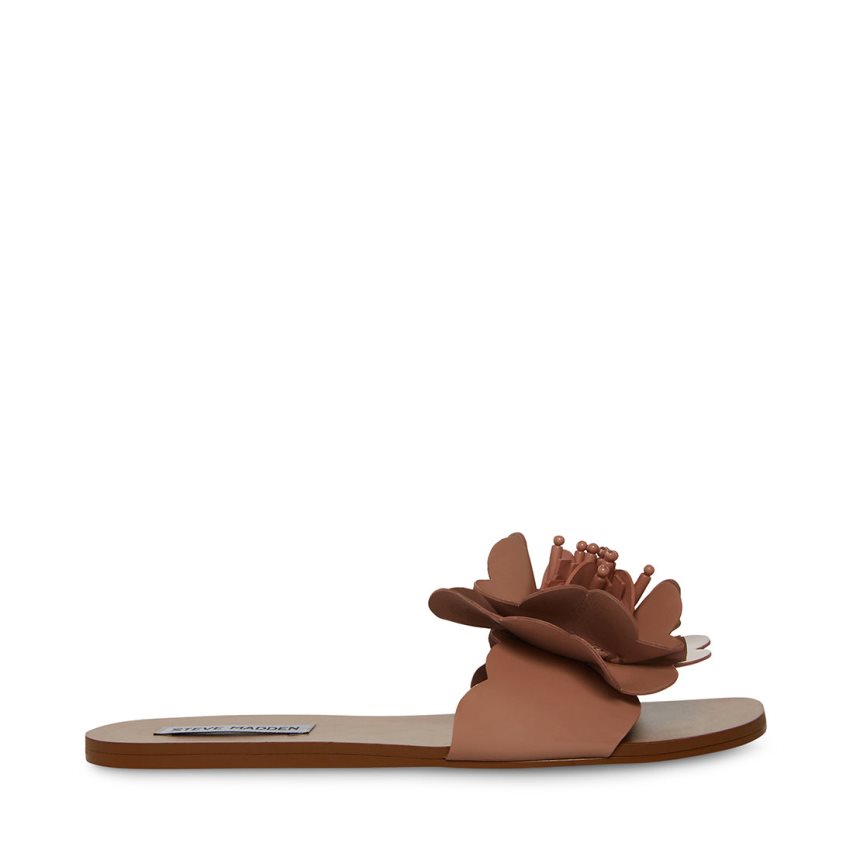 Sandalias Planas Steve Madden Chelsea Mujer Marrones | ES NJES49